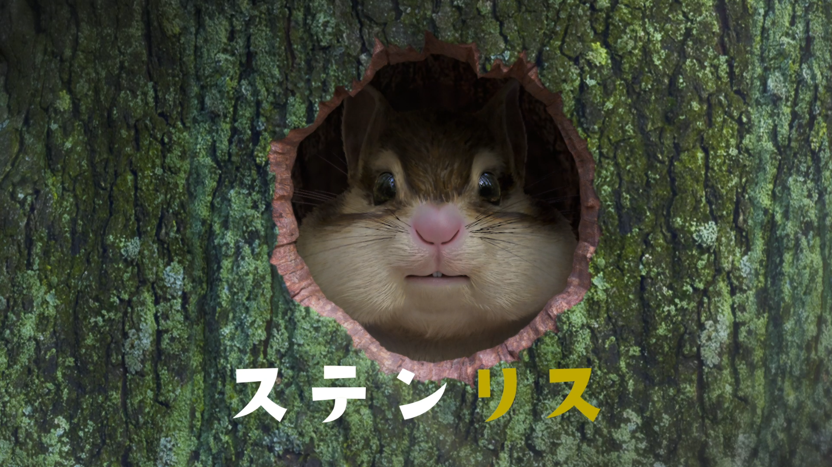 リンタツ「森の住人篇」　CM・柱サイネージ