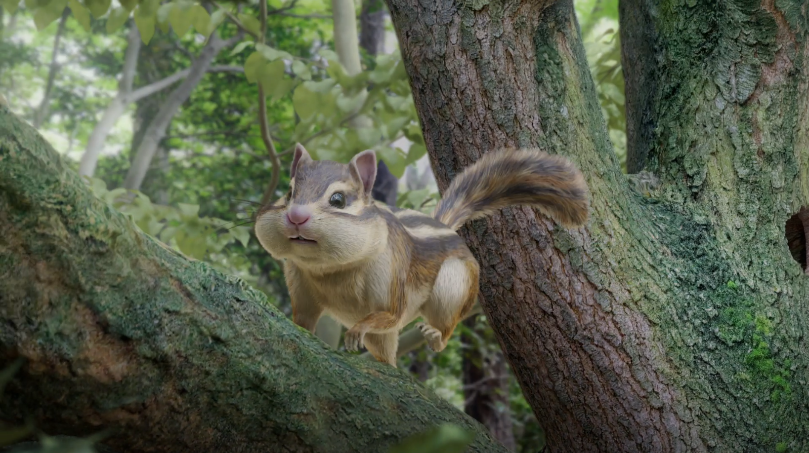 リンタツ「森の住人篇」　CM・柱サイネージ